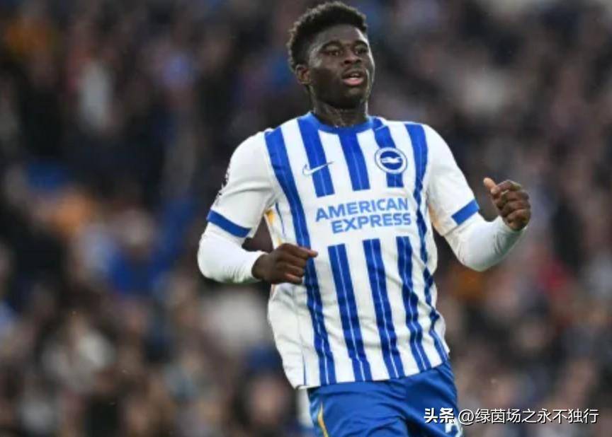 布莱顿迎荷甲关键赛，国际比赛日复出首秀，悬念犹存，细节决定成败 